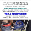 제일성광유치원 이미지