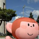 제천체육관 이미지