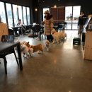 개버랜드 이미지