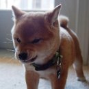 에브리팜