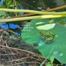 영어교육도시아이파크공인중개사사무소 이미지