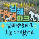 강아지랑나랑 | 김해댕댕파크 직접 가본 솔직 후기ㅣ🐾 강아지랑 오늘 다녀왔어요
