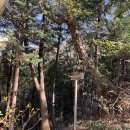 팔용산 테마공원 이미지