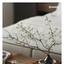 반도커뮤니케이션 - 고양시 일산동구 | 반도커뮤니케이션