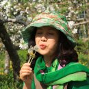 사과꽃향기 이미지