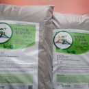 신동초등학교 병설유치원 이미지