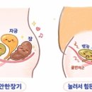 척추자세교정 걷기테라피 이미지