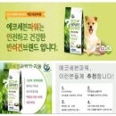 에코세븐 이미지