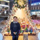 위시빌리 이미지