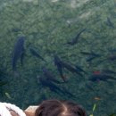 담소동락 이미지