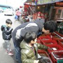 곰섬올레 이미지