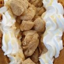 선월회관 | 순천버스 21번 운행시간표 순천파업 운행시간 운행횟수 운행표 버스표 버스시간표