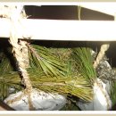 설향이야기 이미지