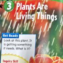 1-5 Plants are living things 이미지