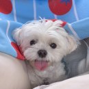 금서산방민박
