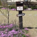 남이섬 봄펜션 이미지