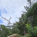 홍촌마애승상 이미지