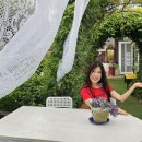 꽃이랑나무랑 이미지