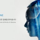 라인