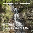 온천커피 새재점 | 7월 문경 여름 가볼만한곳 문경세재 문경새재 도립공원 산책 코스 놀거리 총정리