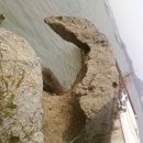 성산  매부리 이미지