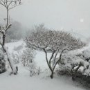 김제연농장 네이버블로그