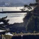 고성용역 | 소중한 사람들과 함께했던 2024년 11월