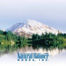 발란스코리아 이미지