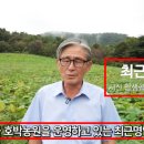 호박컨설팅