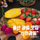 세븐일레븐 울산호계플러스점 | 울산 과일 맛집 신천과일 센스 있는 과일바구니 선물