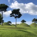 한국문화의 뿌리를 찾아 / 존 카터 코벨 이미지