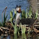 효누리요양원 이미지