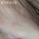 강피부과의원 이미지