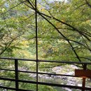 피아프스테이 이미지