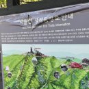 유가사등산로 | 비슬산 참꽃군락지 등산코스 및 셔틀버스 운행, 유가사 등산코스