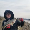 신용초등학교 이미지