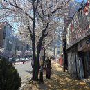 대구 앞산 멕시코 음식 레오차우 후기-타코& 치미창가 맛집