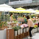 친환경마켓 이미지