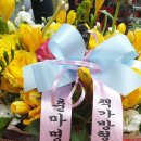 최수학 Daum카페