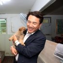 포인트동물의료센터 이미지