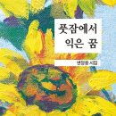 변정용 - 풋잠에서 익은 꿈 이미지