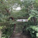 광주 근교 화순 숲속의 베리팜 캠핑장 솔직 후기 아이들 추천