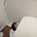 포항시북구28 | 포항북구다이어트 체형관리 이뮨팩토리 바비점
