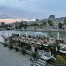 센느약국 이미지