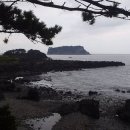 강정동-14 이미지