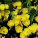 선화농장2 이미지