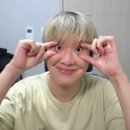 해성홍어 이미지