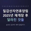 칠갑산맑은물 | 칠갑산 자연휴양림, 2025년 재개장 후 달라진 것들
