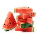 정직한 피트니스 이미지