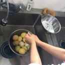 [6조] 요리속 과학 : 레몬청 & 키위청 이미지